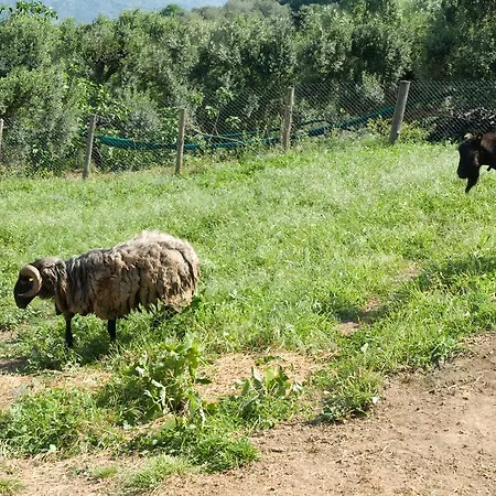 I Fornari Farm stay *