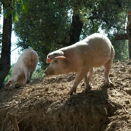 I Fornari Farm stay *